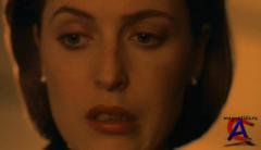   (5 ) / X-Files, The (Season 5)
