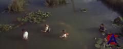  2:     / Anacondas: The Hunt for the Blood Orchid