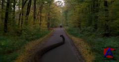  4:   / Anaconda 4: Trail of Blood