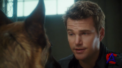   :    / Cats & Dogs: The Revenge of Kitty Galore