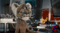   :    / Cats & Dogs: The Revenge of Kitty Galore
