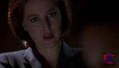   (6 ) / X-Files, The (Season 6)