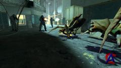 Half-Life 2 Cooperation