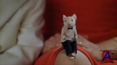   / Stuart Little