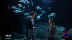  :     / Sea Rex: Journey to a Prehistoric World