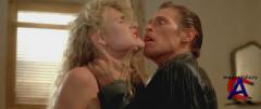   / Wild at Heart