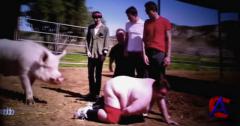 3 / Jackass 3