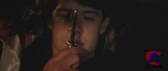   / Blue Velvet