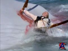   / Moby Dick
