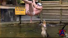  / Jackass the movie
