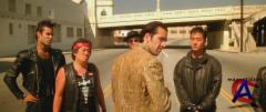   / Wild at Heart