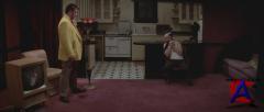   / Blue Velvet