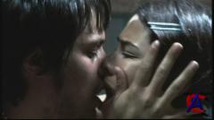 - / Amores perros