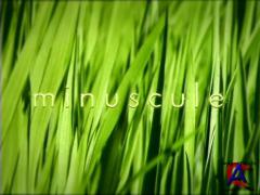 :     (2 ) / Minuscule