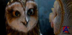    / Legend of the Guardians: The Owls of GaHoole