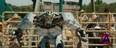   / Real Steel