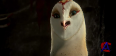    / Legend of the Guardians: The Owls of GaHoole