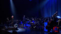 Sting - Live in Berlin