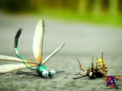 :     (2 ) / Minuscule