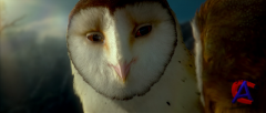    / Legend of the Guardians: The Owls of GaHoole