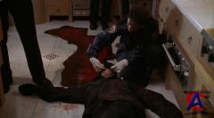   / A Perfect Murder