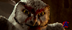    / Legend of the Guardians: The Owls of GaHoole