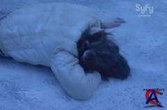   / Arctic Blast