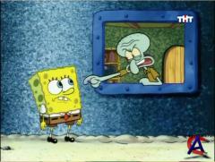     / SpongeBob SquarePants (6 )