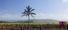   / Rapa Nui