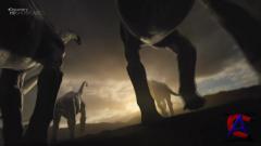 Discovery -    / Last day of the dinosaurs