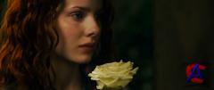:    / Perfume: The Story of a Murderer