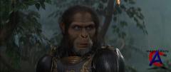  / Planet of the Apes