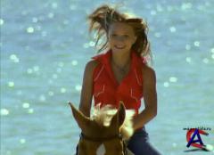   / Holiday in the Sun