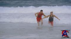   / Malibu Shark Attack
