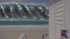  / Malibu Shark Attack