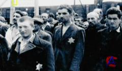 NG -    / Mengele`s Twins