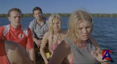   / Malibu Shark Attack