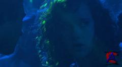  / Skins (1 )