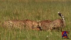    / Rift Valley / Great Rift - Der grosse Graben