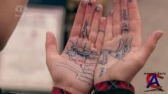  / Skins (5 )
