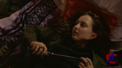  / Ginger Snaps