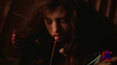  / Ginger Snaps