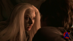  / Ginger Snaps