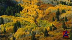 Vivaldi: The Four Seasons, Concertos for Double Orchestra - Acoustic Reality Experience