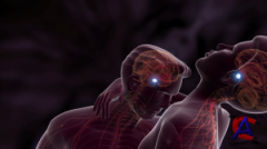   / The Lovers Guide 3D