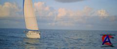  :   / Reef, The [HD]
