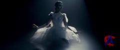 ׸  / Black Swan