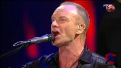 Sting - Festival Vina del Mar Chile
