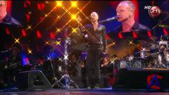 Sting - Festival Vina del Mar Chile