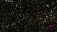   . ( ) / All about cosmos